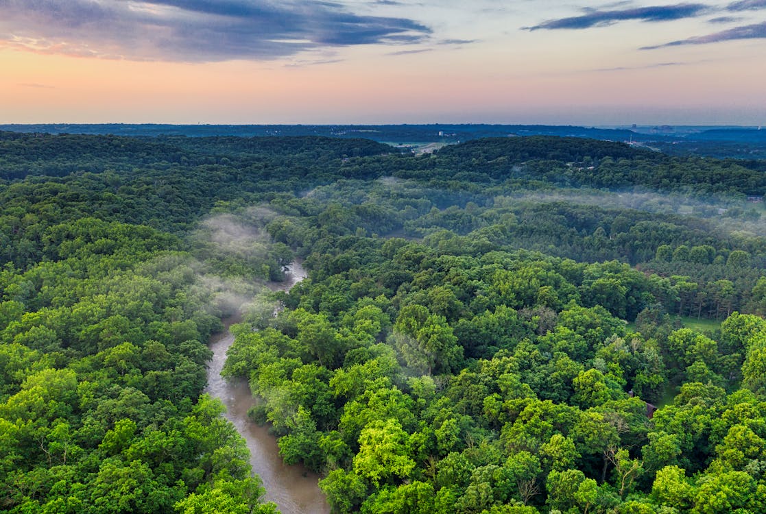 How the Amazon River’s Low Water Levels affect Brazil’s grain exports